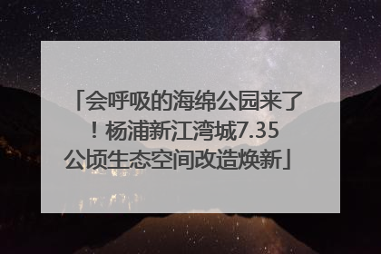 会呼吸的海绵公园来了！杨浦新江湾城7.35公顷生态空间改造焕新