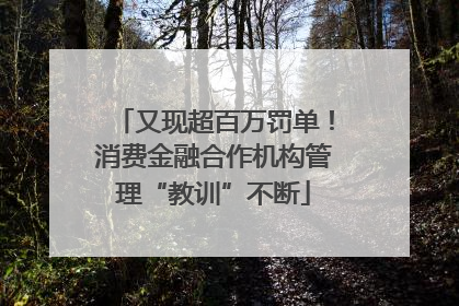 又现超百万罚单！消费金融合作机构管理“教训”不断