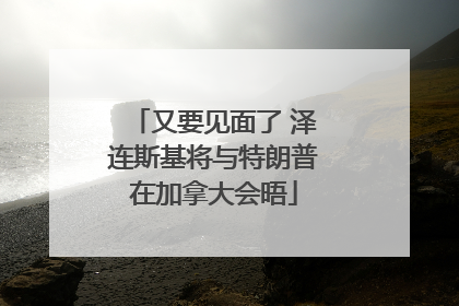 又要见面了 泽连斯基将与特朗普在加拿大会晤