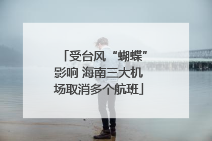 受台风“蝴蝶”影响 海南三大机场取消多个航班