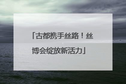 古都携手丝路！丝博会绽放新活力