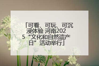 可看、可玩、可沉浸体验 河南2025“文化和自然遗产日”活动举行