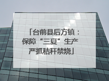 台前县后方镇：保障“三夏”生产 严抓秸秆禁烧