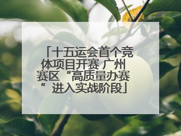 十五运会首个竞体项目开赛 广州赛区“高质量办赛”进入实战阶段