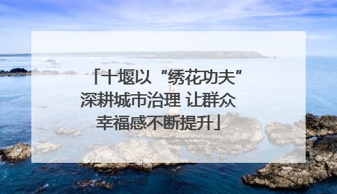 十堰以“绣花功夫”深耕城市治理 让群众幸福感不断提升