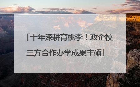 十年深耕育桃李！政企校三方合作办学成果丰硕