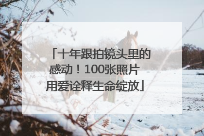 十年跟拍镜头里的感动！100张照片用爱诠释生命绽放