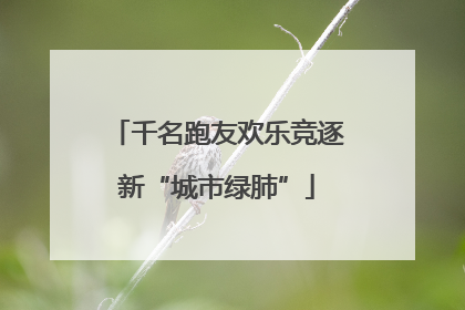 千名跑友欢乐竞逐新“城市绿肺”