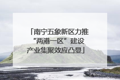南宁五象新区力推“两港一区”建设 产业集聚效应凸显
