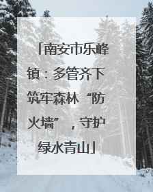 南安市乐峰镇：多管齐下筑牢森林“防火墙”，守护绿水青山