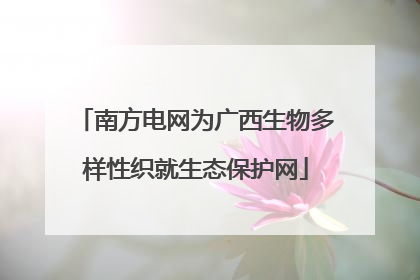 南方电网为广西生物多样性织就生态保护网