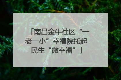 南昌金牛社区“一老一小”幸福院托起民生“微幸福”