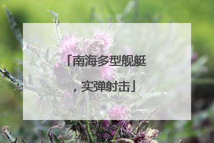 南海多型舰艇，实弹射击