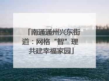 南通通州兴东街道：网格“智”理 共建幸福家园