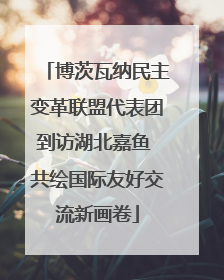 博茨瓦纳民主变革联盟代表团到访湖北嘉鱼 共绘国际友好交流新画卷