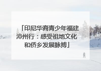 印尼华裔青少年福建漳州行：感受祖地文化和侨乡发展脉搏