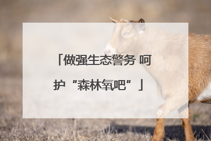 做强生态警务 呵护“森林氧吧”