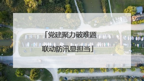 党建聚力破难题 联动防汛显担当