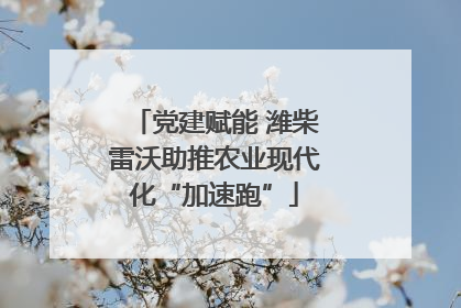 党建赋能 潍柴雷沃助推农业现代化“加速跑”