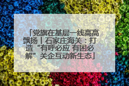 党旗在基层一线高高飘扬丨石家庄海关：打造“有呼必应 有困必解”关企互动新生态
