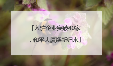 入驻企业突破40家，和平大厦焕新归来