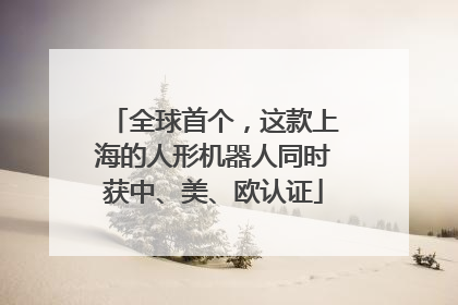 全球首个，这款上海的人形机器人同时获中、美、欧认证