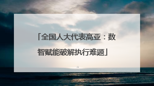 全国人大代表高亚：数智赋能破解执行难题