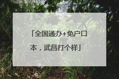 全国通办+免户口本，武昌打个样