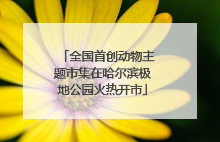 全国首创动物主题市集在哈尔滨极地公园火热开市