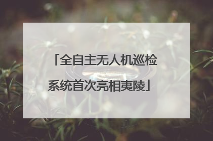 全自主无人机巡检系统首次亮相夷陵