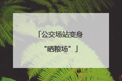公交场站变身“晒粮场”