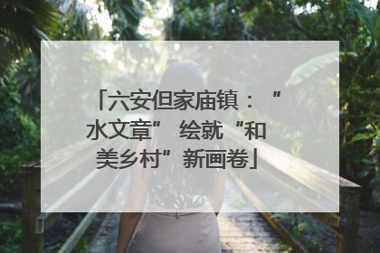 六安但家庙镇：“水文章” 绘就“和美乡村”新画卷