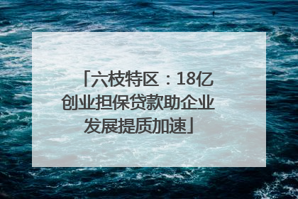 六枝特区：18亿创业担保贷款助企业发展提质加速
