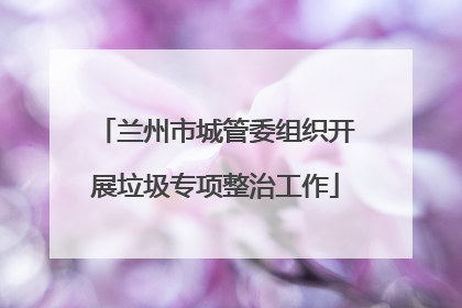 兰州市城管委组织开展垃圾专项整治工作