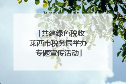 共建绿色税收 莱西市税务局举办专题宣传活动