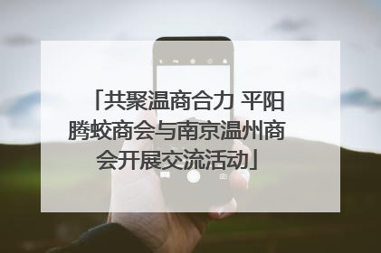 共聚温商合力 平阳腾蛟商会与南京温州商会开展交流活动