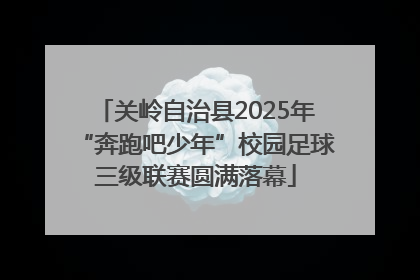 关岭自治县2025年“奔跑吧少年”校园足球三级联赛圆满落幕