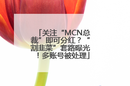 关注“MCN总裁”即可分红？“割韭菜”套路曝光！多账号被处理