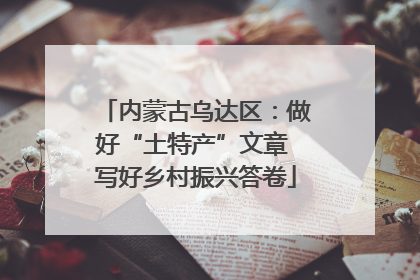 内蒙古乌达区：做好“土特产”文章 写好乡村振兴答卷