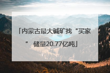 内蒙古最大碱矿找“买家” 储量20.77亿吨