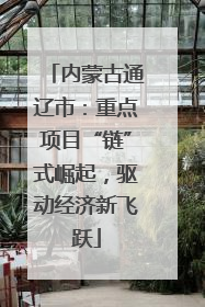 内蒙古通辽市：重点项目“链”式崛起，驱动经济新飞跃