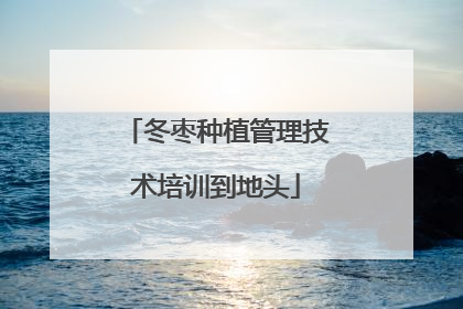 冬枣种植管理技术培训到地头
