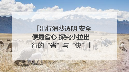 出行消费透明 安全便捷省心 探究小拉出行的“省”与“快”