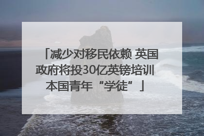 减少对移民依赖 英国政府将投30亿英镑培训本国青年“学徒”