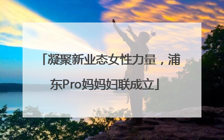 凝聚新业态女性力量，浦东Pro妈妈妇联成立
