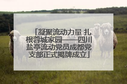 凝聚流动力量 扎根蓉城家园——四川盐亭流动党员成都党支部正式揭牌成立