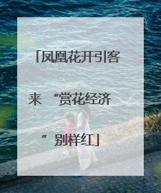 凤凰花开引客来 “赏花经济”别样红
