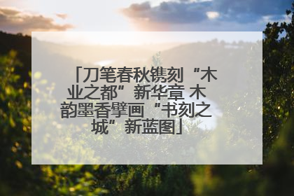 刀笔春秋镌刻“木业之都”新华章 木韵墨香擘画“书刻之城”新蓝图