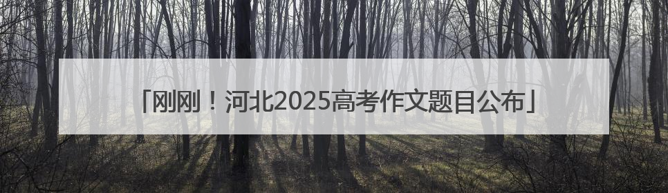刚刚！河北2025高考作文题目公布