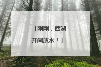 刚刚，西湖开闸放水！